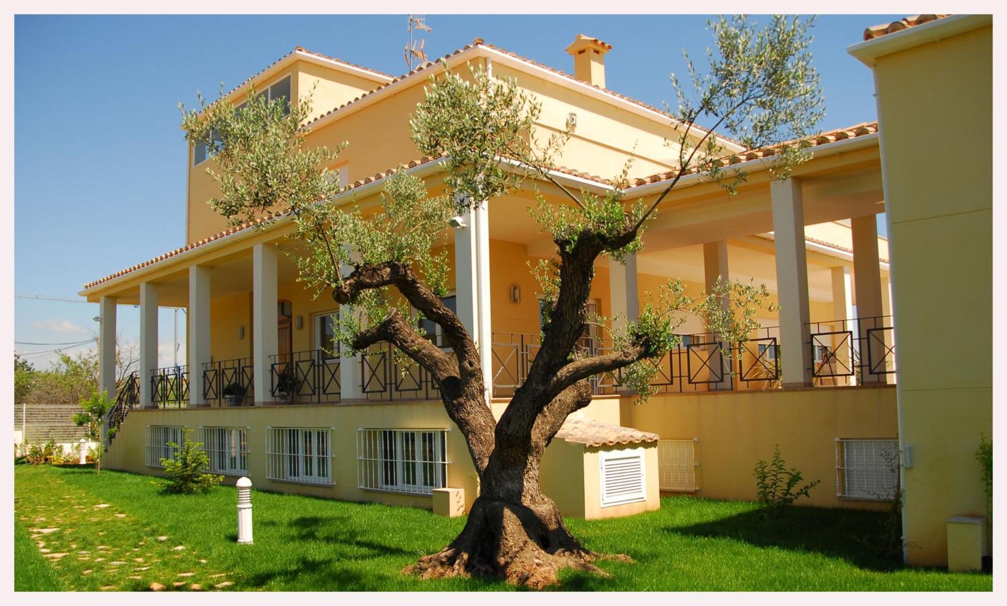 Luz De Azahar Bed And Breakfast Peñíscola Buitenkant foto